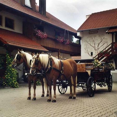 Appartementhaus "Haflinger Hof" Бад-Фюссинг Экстерьер фото