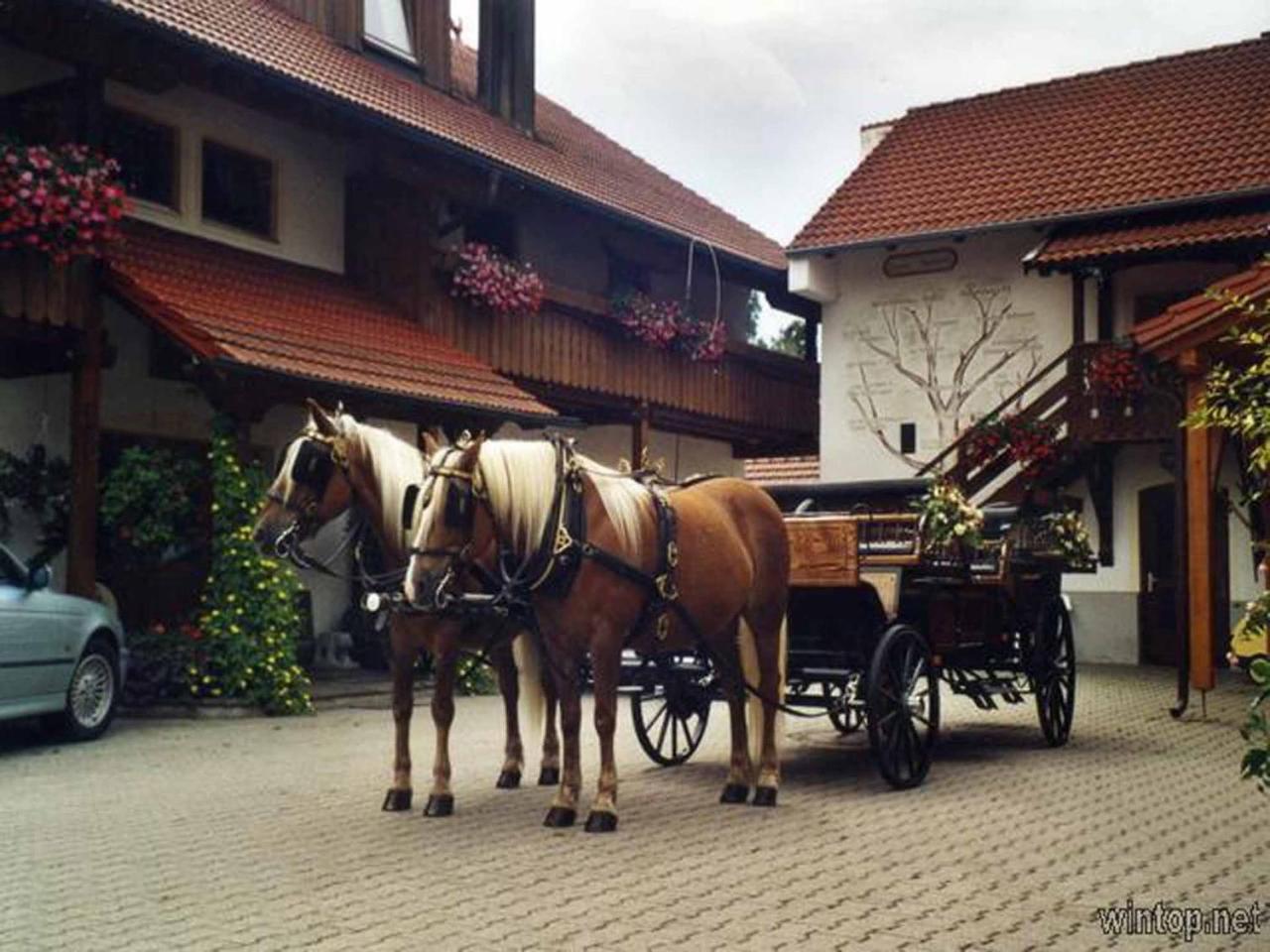 Appartementhaus "Haflinger Hof" Бад-Фюссинг Экстерьер фото